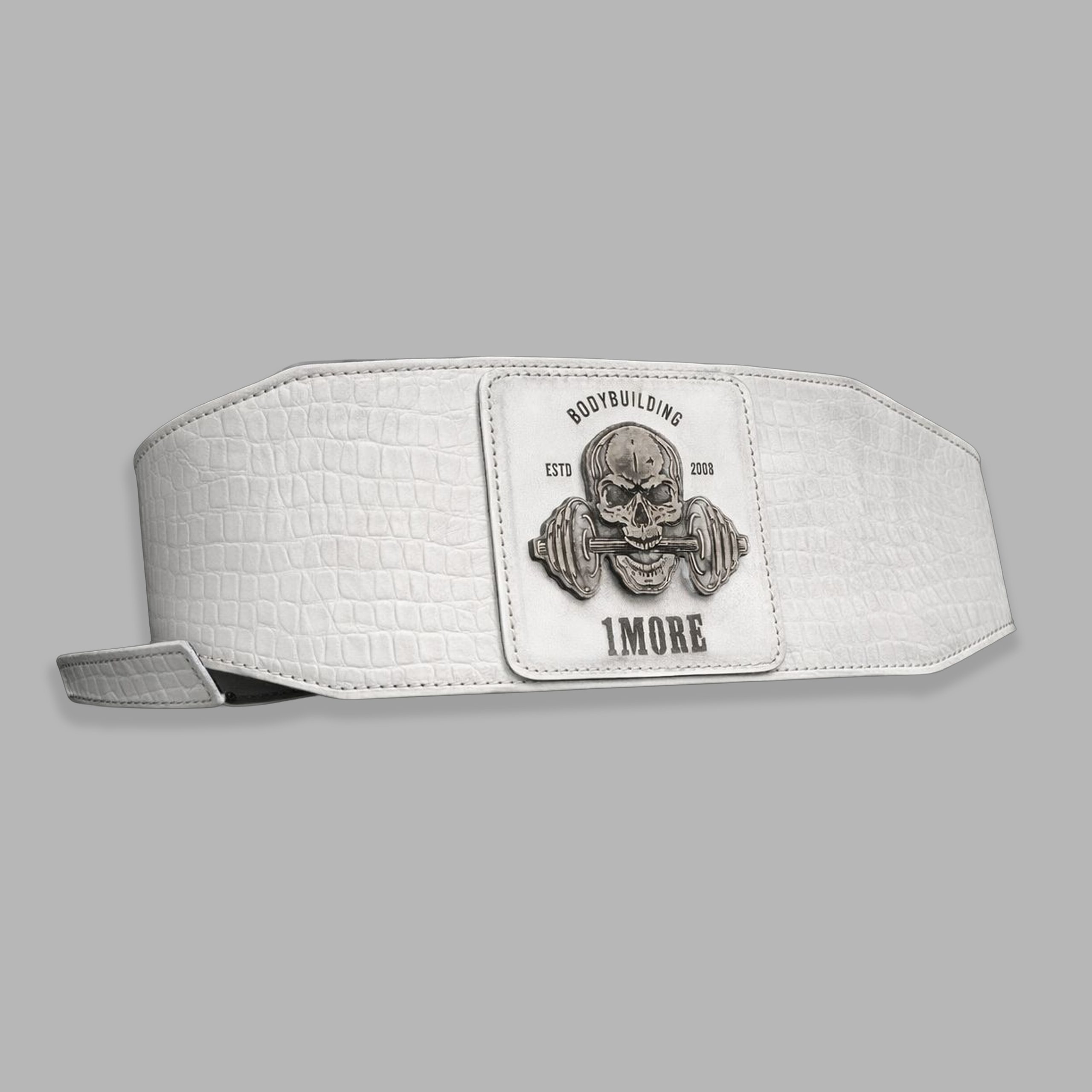 GLACIER BELT - Image 1
