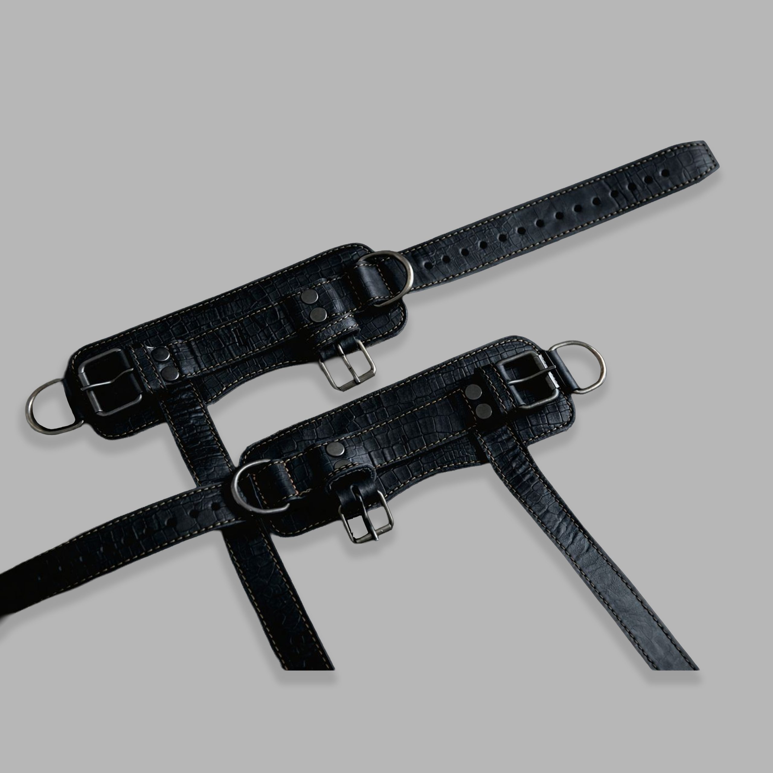 REPTILIA SHACKLES - Image 1