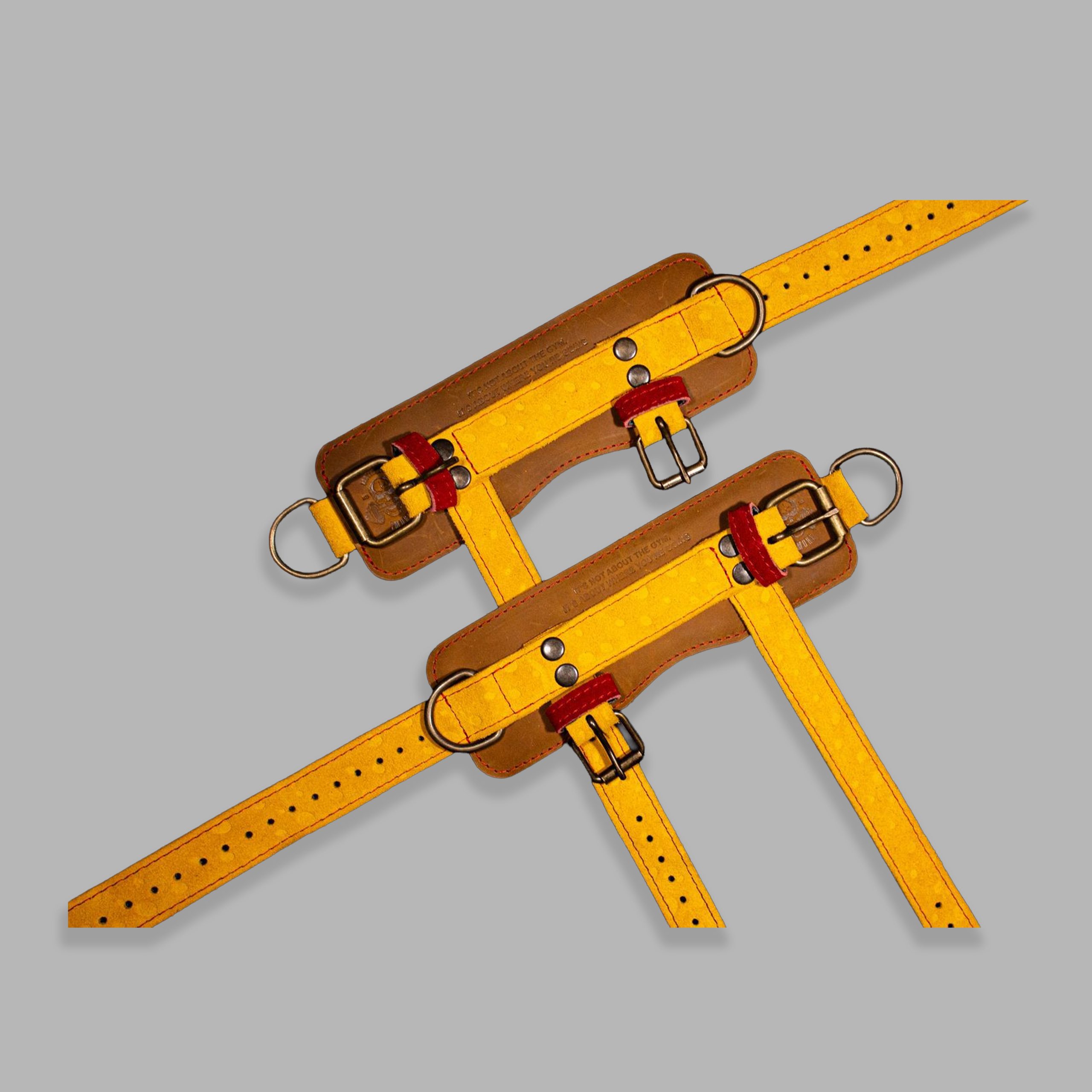 SPONGEBOB SHACKLES - Image 1